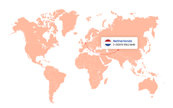 Excel in the Netherlands Market