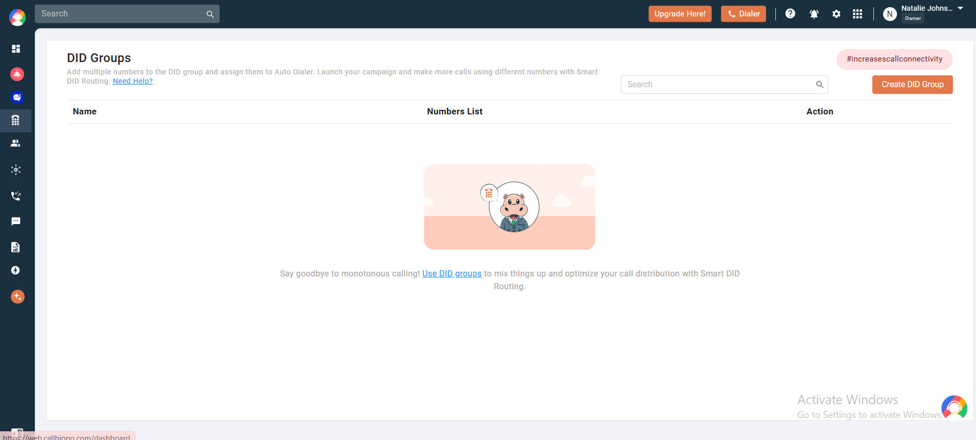Callhippo DID feature dashboard